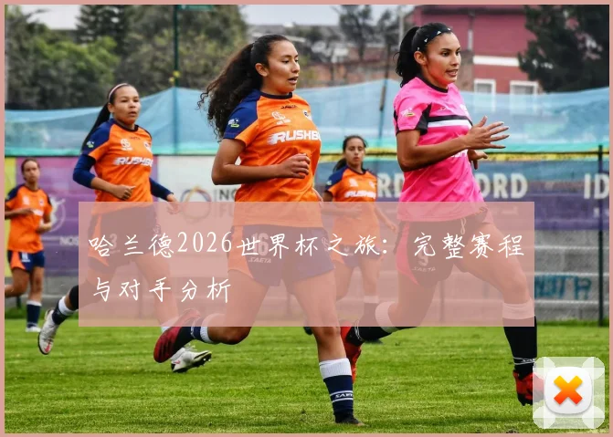哈兰德2026世界杯之旅：完整赛程与对手分析