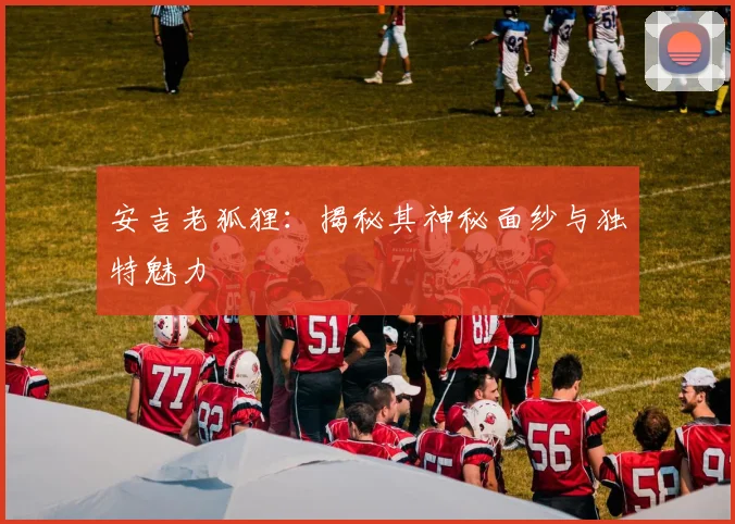 安吉老狐狸：揭秘其神秘面纱与独特魅力