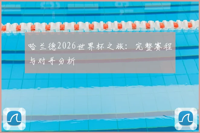 哈兰德2026世界杯之旅：完整赛程与对手分析